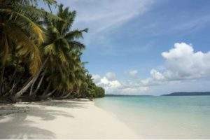 ANDAMAN TOUR PACAKGE FROM TRICHY ANDAMAN TOUR PACAKGE FROM TRICHY