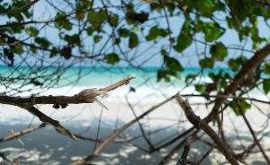 andaman tour pacakage from chennai ANDAMAN TOUR PACKAGE FROM CHENNAI