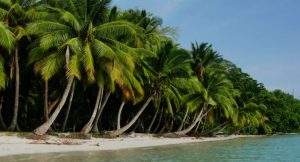 andaman tour package from madurai andaman tour package from madurai