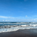 orissa tour package from salem3 orissa tour package from salem