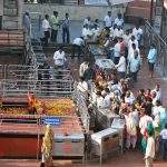 Sanishignatpur- coimbatore to shirdi tour package Sanishignatpur-coimbatore-to-shirdi-tour-package