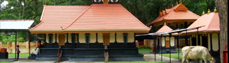 Sita Guha